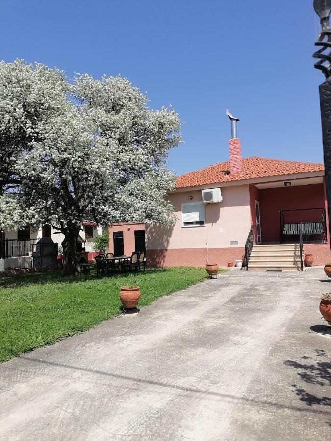 Αξέχαστη Διαμονή - Unforgettable Accommodation Nea Kallikrateia Eksteriør bilde