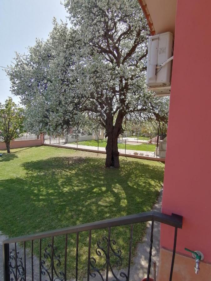 Αξέχαστη Διαμονή - Unforgettable Accommodation Nea Kallikrateia Eksteriør bilde
